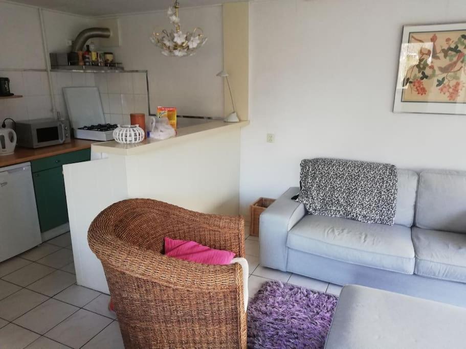 Cottage Egmond-Binnen Met Besloten Tuin Екстер'єр фото