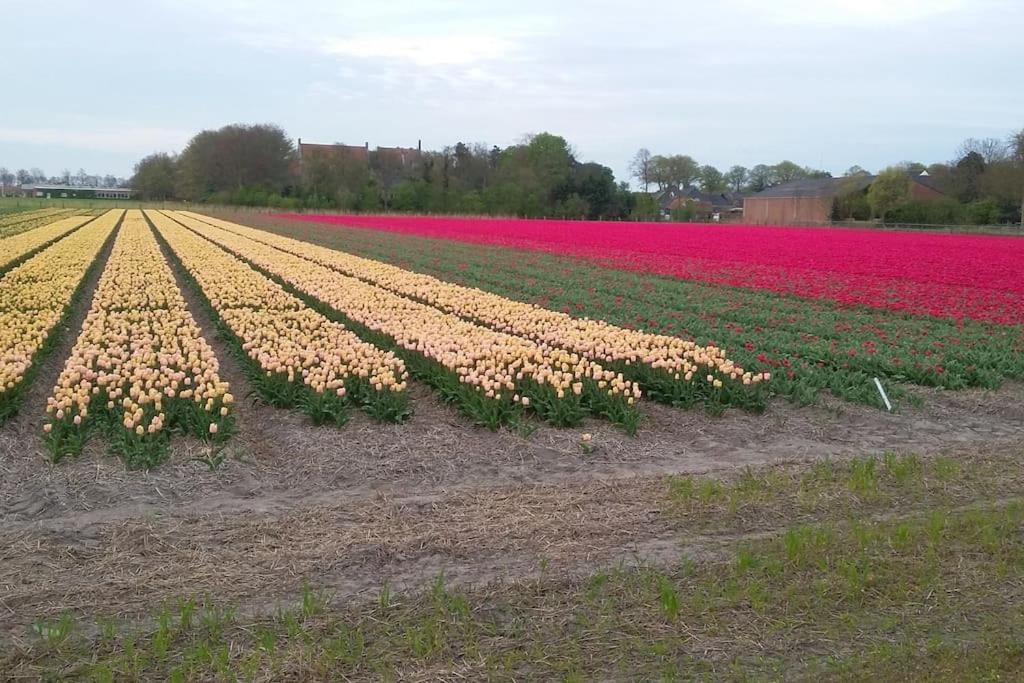 Cottage Egmond-Binnen Met Besloten Tuin Екстер'єр фото