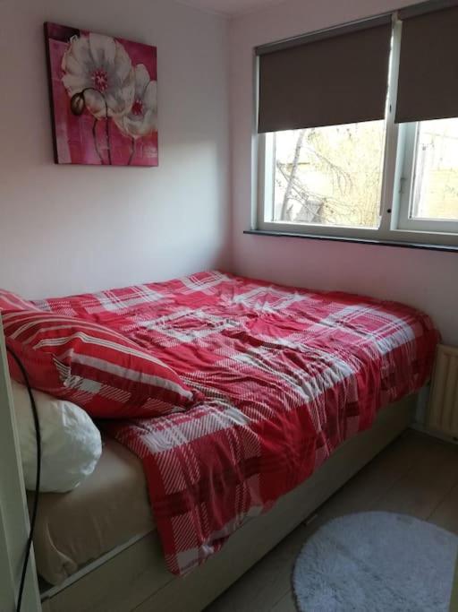Cottage Egmond-Binnen Met Besloten Tuin Екстер'єр фото