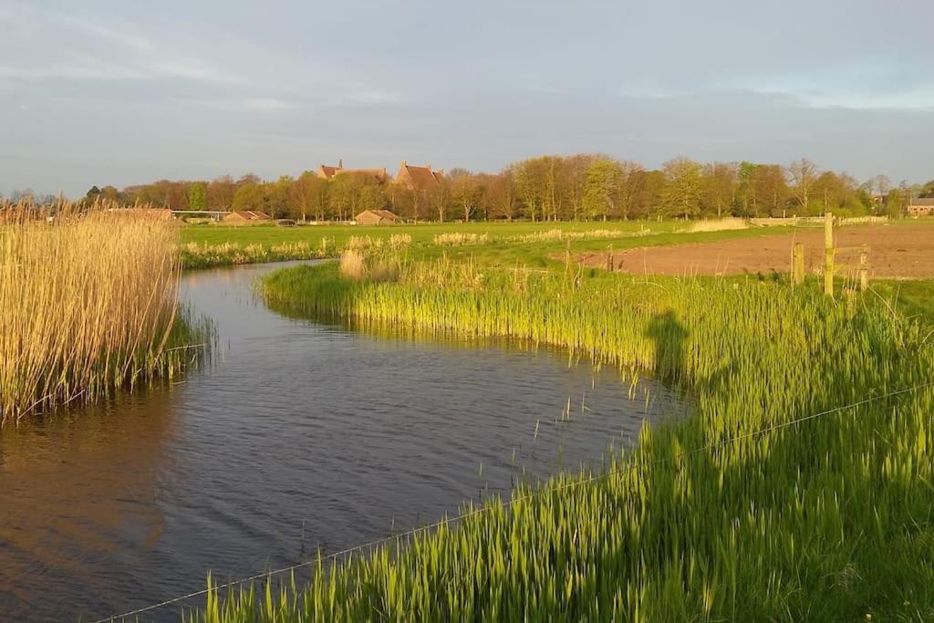 Cottage Egmond-Binnen Met Besloten Tuin Екстер'єр фото