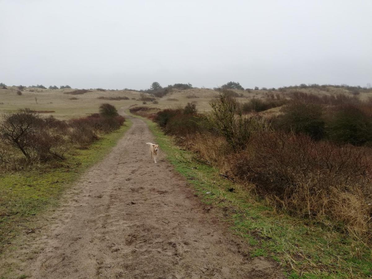 Cottage Egmond-Binnen Met Besloten Tuin Екстер'єр фото