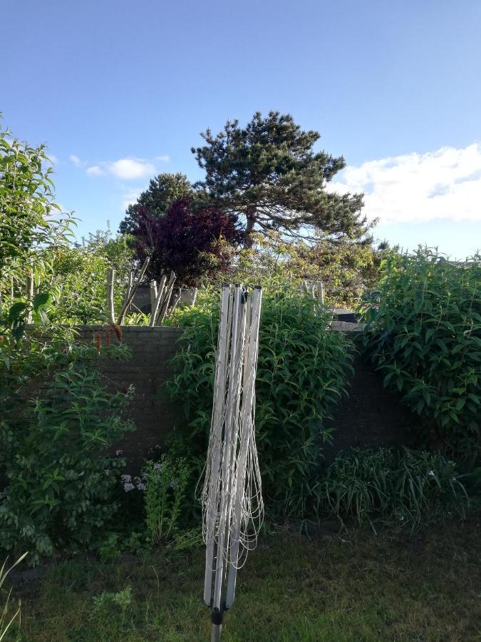 Cottage Egmond-Binnen Met Besloten Tuin Екстер'єр фото
